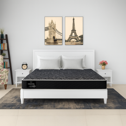 Chiropedic mattress on white bed frame in travel-themed bedroom decor - buy online in Winnipeg